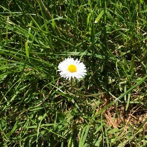 Meet your Posher, Lana